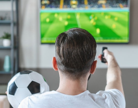 Enhanced Customer Data & AI for a Global Entertainment Company